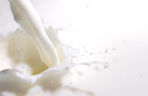 “La producción de leche creció, pero los precios no acompañaron en el segundo semestre”