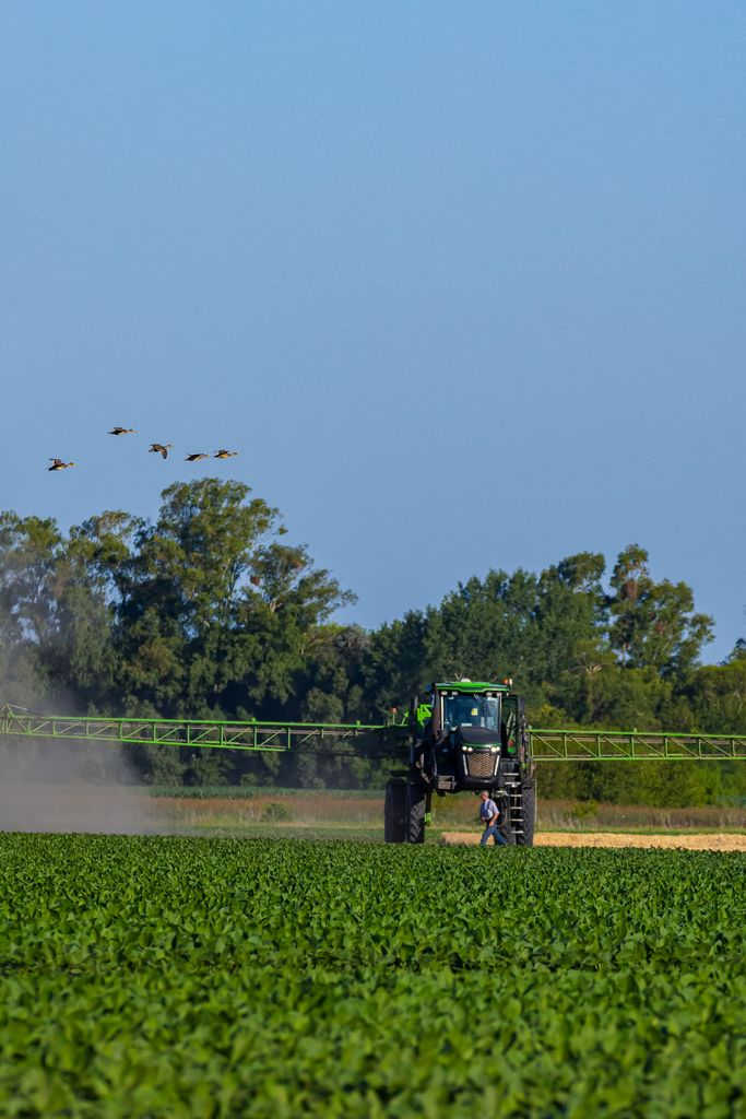 Metalfor accede a un cr&eacute;dito internacional de US$ 50 millones y refuerza su plan de expansi&oacute;n productiva