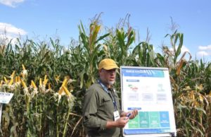 Maíz en el NOA: más tecnología frente a un escenario desafiante🔊