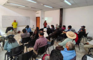 Salta avanza en el monitoreo y manejo sustentable de la vicuña