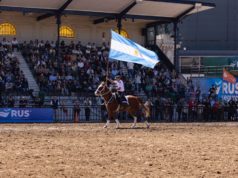 Nuestros Caballos: continúa el gran encuentro de la industria ecuestre