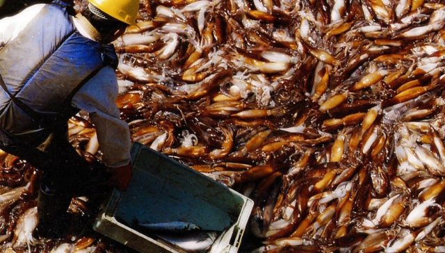 Captura de pantalla_16-3-2026_23624_www.argentina.gob.ar (1)