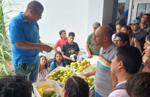 NOA: capacitan inspectores para fortalecer exportaciones citrícolas