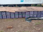 Salta: decomisan miles de huevos en condiciones irregulares