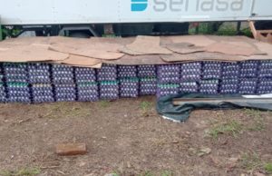 Salta: decomisan miles de huevos en condiciones irregulares