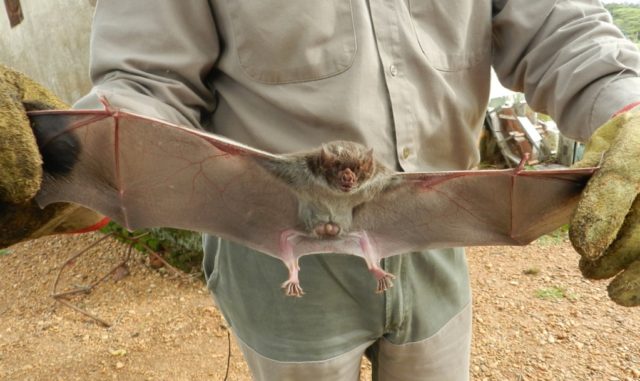 Captura de pantalla_8-3-2026_20130_www.argentina.gob.ar (1)