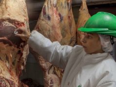 Bajan las remisiones a faena