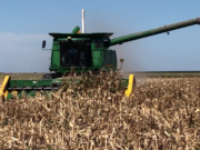 Progresa la cosecha de maíz