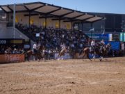 Con más de 60.000 visitantes culminó “Nuestros Caballos”