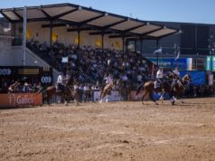 Con más de 60.000 visitantes culminó “Nuestros Caballos”