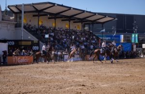 Con más de 60.000 visitantes culminó “Nuestros Caballos”