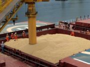 Proyectan casi 35 mil millones de dólares del agro