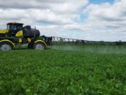 ¿Cómo se mide hoy el riesgo de los fitosanitarios?