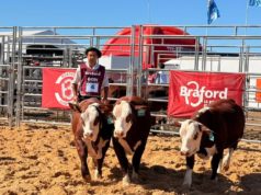 Braford mostró su potencial productivo y comercial en Expoagro