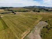 El costo invisible de vender sin estrategia en el mercado rural