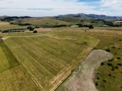 El costo invisible de vender sin estrategia en el mercado rural