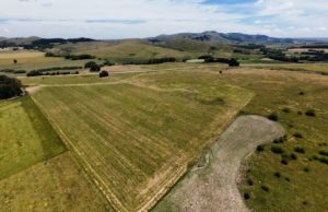 El costo invisible de vender sin estrategia en el mercado rural