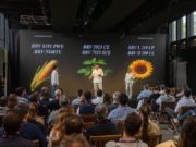 Brevant Semillas presentó la mayor renovación genética de su historia