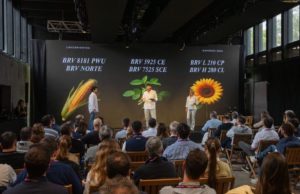 Brevant Semillas presentó la mayor renovación genética de su historia