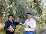 Especialistas argentinos coescriben obra sobre el efecto de las heladas