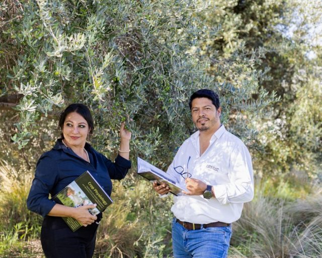 crop physiology 1 editado