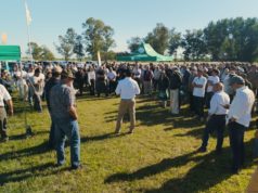 La nueva generación de soja ya está en el campo