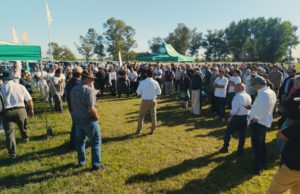 La nueva generación de soja ya está en el campo