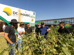 Nuevas variedades y manejo para mejorar la productividad