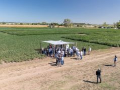 Una nueva propuesta técnica para validar tecnología a campo