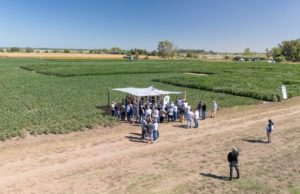 Una nueva propuesta técnica para validar tecnología a campo