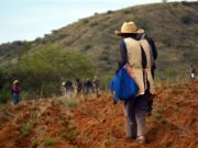 El progreso en seguridad de la tenencia de la tierra sigue siendo lento