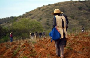 El progreso en seguridad de la tenencia de la tierra sigue siendo lento