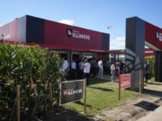 Una marca que siembra resultados mirando al futuro del maíz