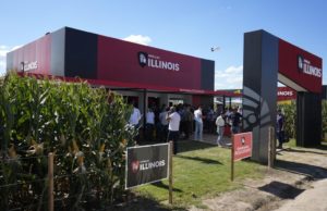 Una marca que siembra resultados mirando al futuro del maíz