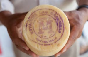 El Queso de Tafí del Valle ya cuenta con Indicación Geográfica