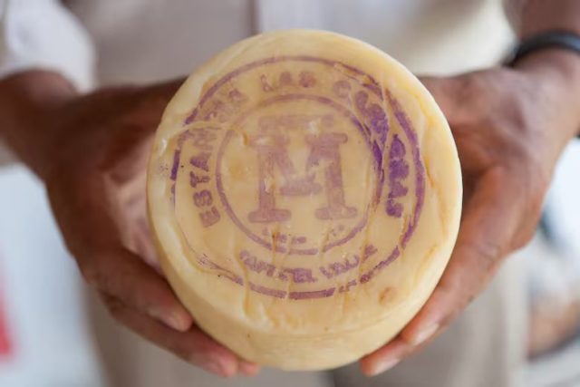 Queso Tafí del Valle