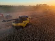 Leo Ponzio mostró los resultados de una nueva campaña