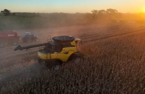 Leo Ponzio mostró los resultados de una nueva campaña