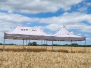 Estrategia triguera en año “Niño”