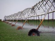 Una herramienta para generar más trabajo y de manera sustentable