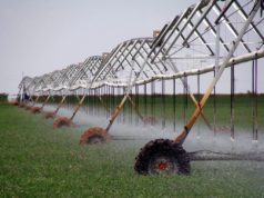 Una herramienta para generar más trabajo y de manera sustentable