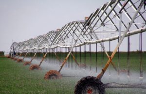 Una herramienta para generar más trabajo y de manera sustentable