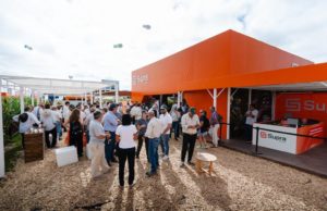 Del ambiente a la solución: cómo se piensa el maíz hoy