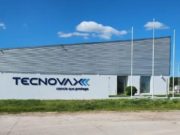 SENASA autorizó el registro de una vacuna contra la fiebre aftosa