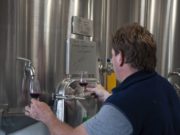 Producción, consumo y regulaciones: los desafíos del vino salteño