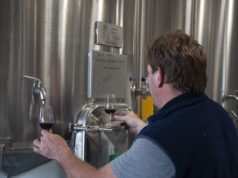 Producción, consumo y regulaciones: los desafíos del vino salteño