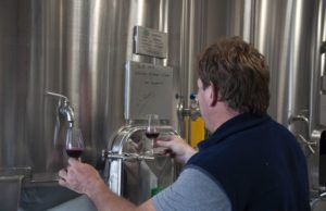 Producción, consumo y regulaciones: los desafíos del vino salteño