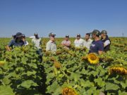 Dos décadas de innovación y expansión de fronteras