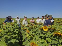 Dos décadas de innovación y expansión de fronteras