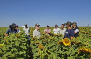 Dos décadas de innovación y expansión de fronteras
